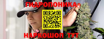 таблы Будённовск