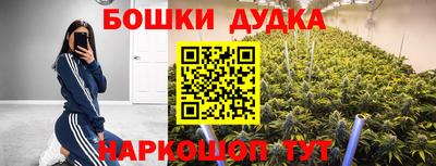 таблы Будённовск