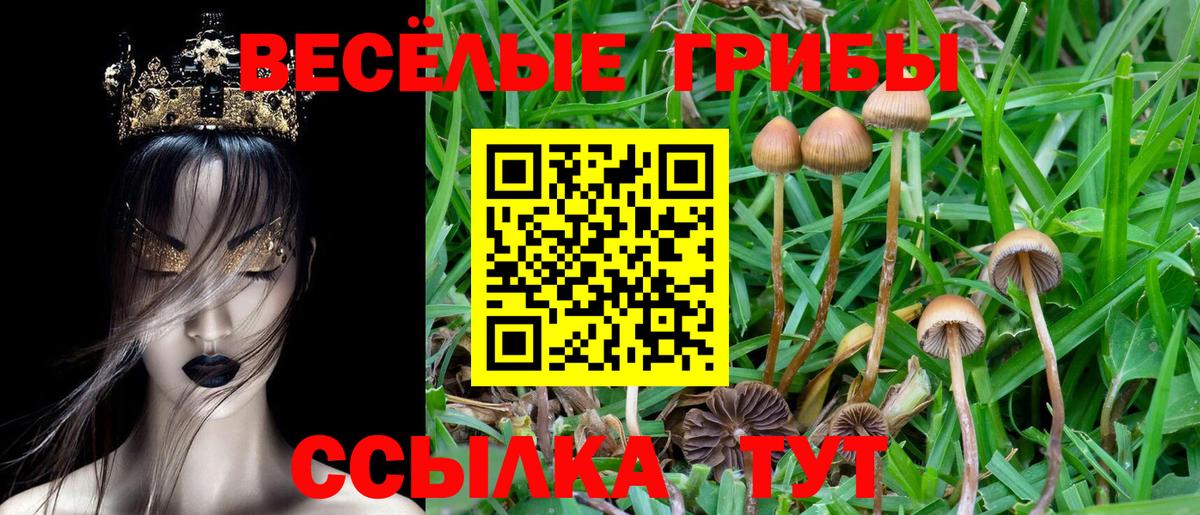 Псилоцибиновые грибы ЛСД Ухта