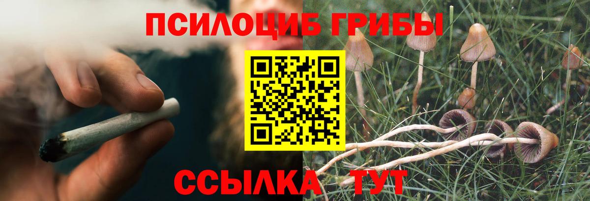 Ухта  Галлюциногенные грибы мицелий  Вход с VPN 